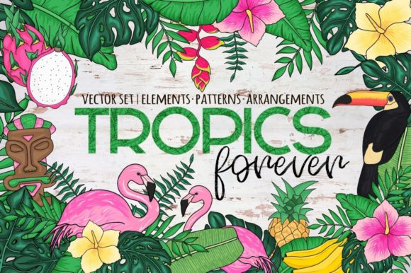 Download Tropics Forever! Vector Set - Premium Resources