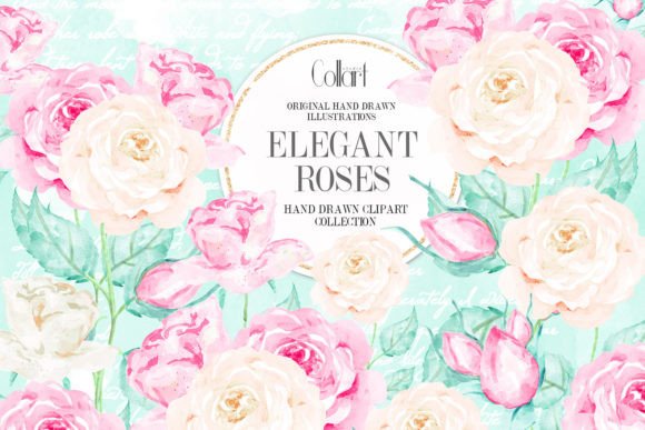 Download Floral Set, Flowers Illustrations, Roses - Premium Resources